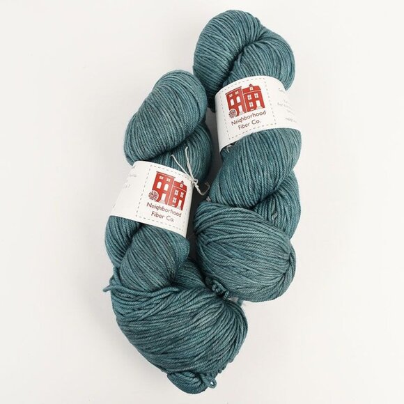 Neighborhood Fiber Co Studio Worsted Yarn 2 Skeins SW Merino Wool Hollins Market